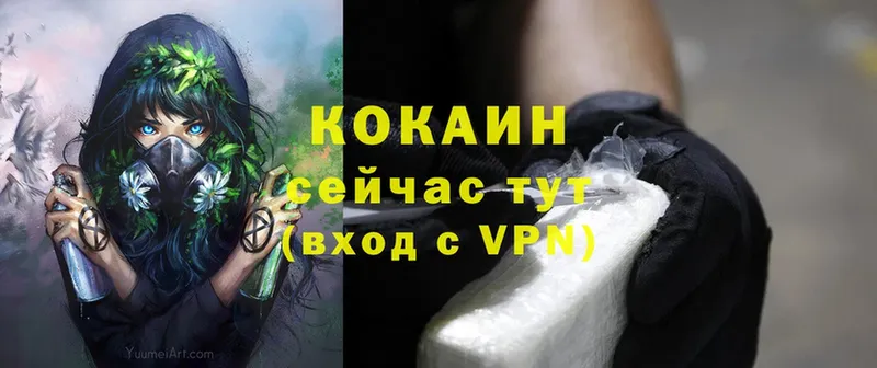 Cocaine VHQ  MEGA вход  Александровское 